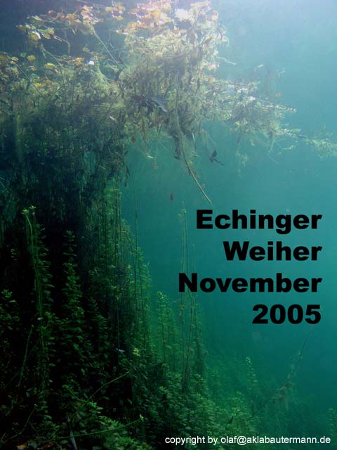 00_TitelEchinger
