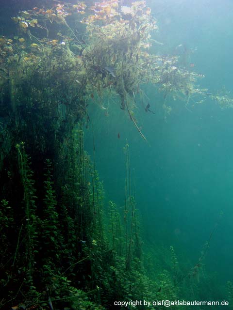 01_P1010092b
