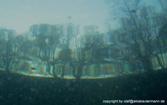 02_P1010101b