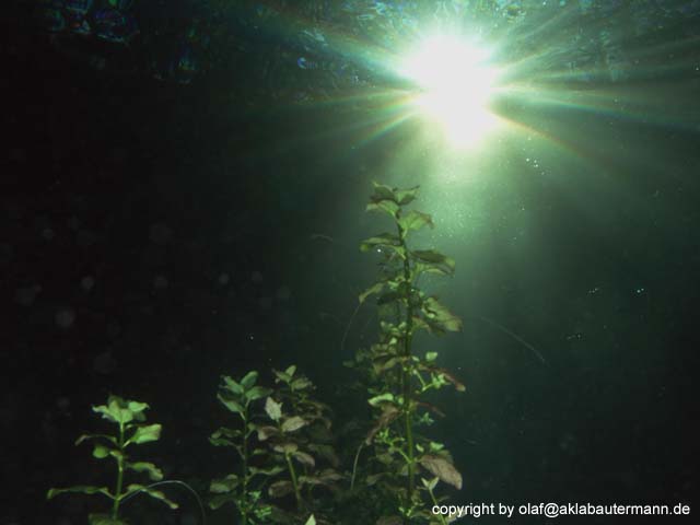 14_P1010087b