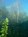 12_P1010085b