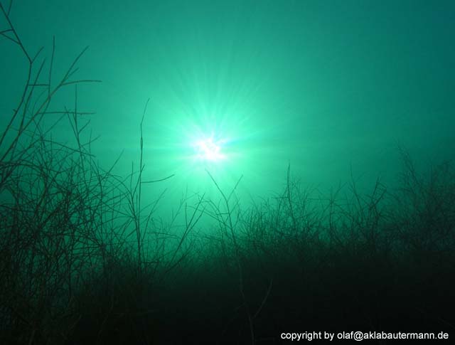 11_Landschaft_01