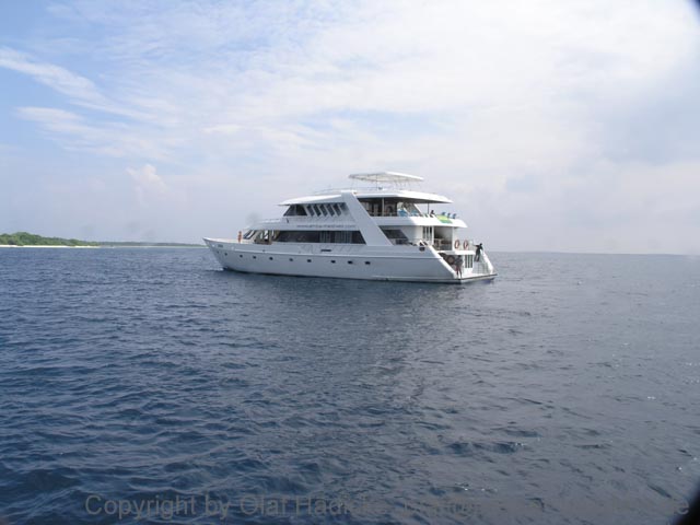011_PC072778