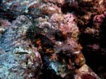 032_PC103094