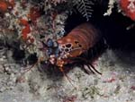 045_PC133323b