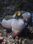 047_PC032444b