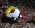 047_PC052620