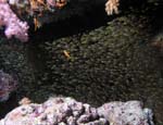 049_PC032451