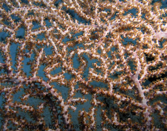 212_PC103100