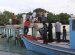 300_PC072840