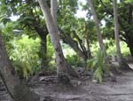 307_PC072793