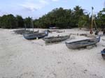 335_PC072837