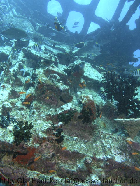 453_PC092983