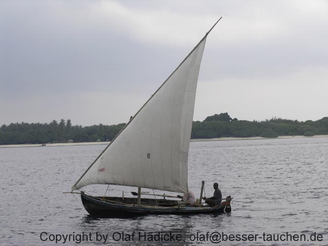 465_PC072740
