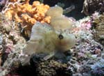 508_PC082884
