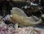 509_PC082892