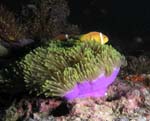 532_PC062694