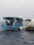 Malediven AMBA