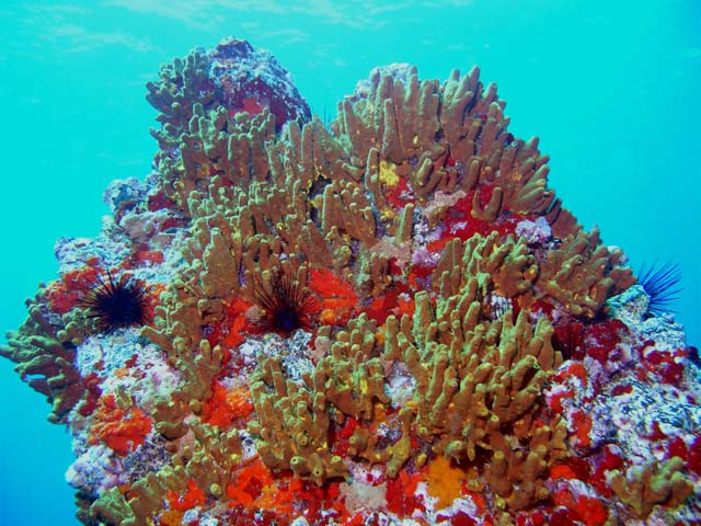 066_P1010107