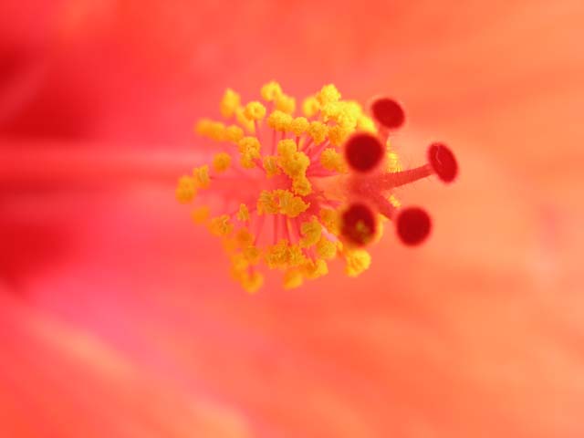 121_P8270403