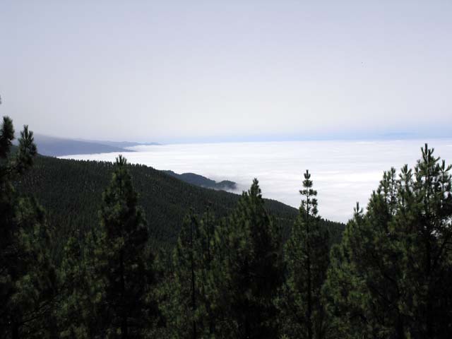 140_P8290454