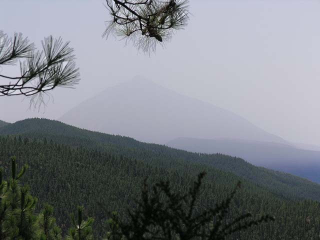 144_P8290461