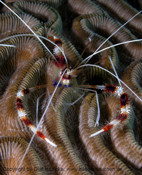 203_P5265413