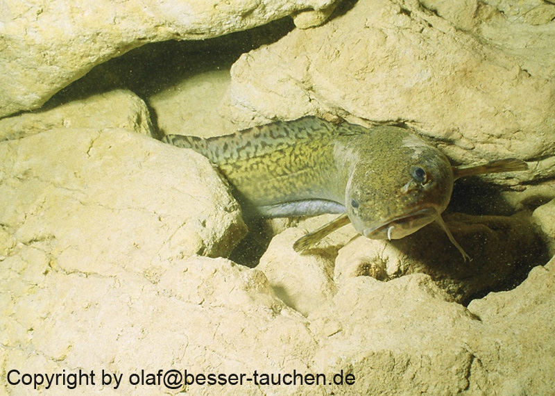 02_sta_53290013