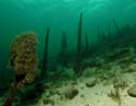 Bodensee_05
