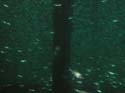Friedberger_05