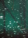 Friedberger_09