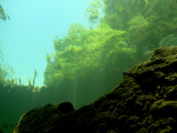 06_P7146710b