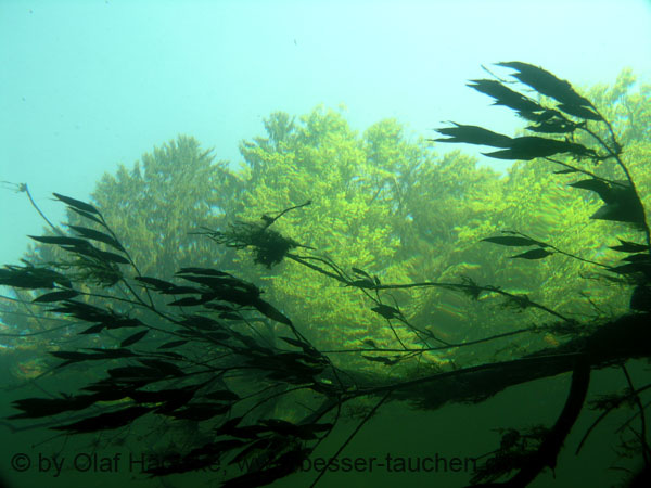 22_P7146732b