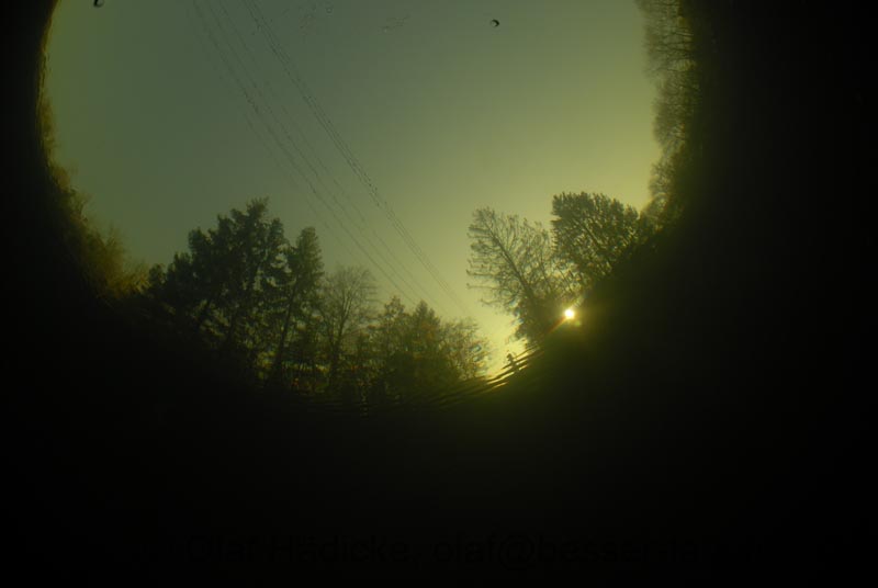 _DSC0213