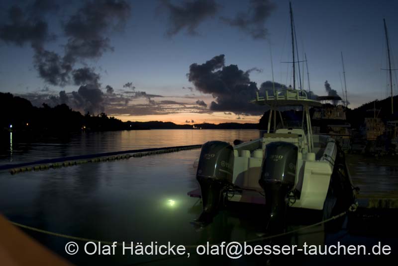 38_DSC0135b