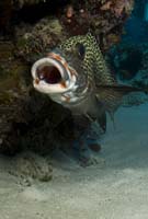 15_DSC0005b