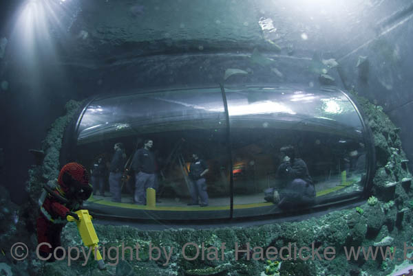 _DSC0145b