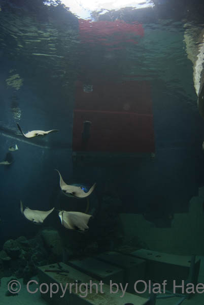 _DSC0215b
