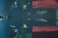 _DSC0172b