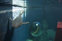 _DSC0184b