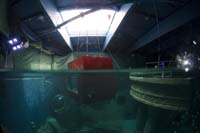 _DSC0206b