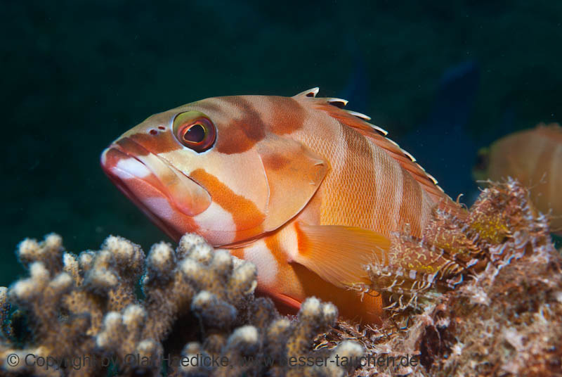 59_DSC0390