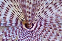 04_DSC0064