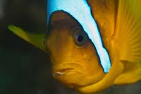 08_DSC0089