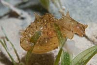 14_DSC0121