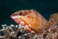 59_DSC0390