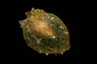 77_DSC0377