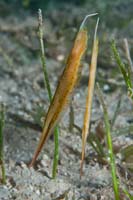 78_DSC0374