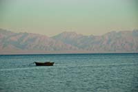 84_DSC0221