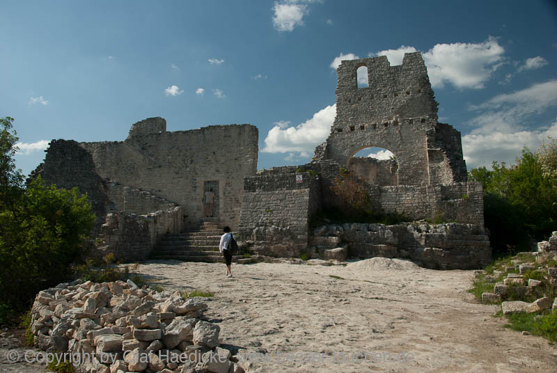 _DSC0501